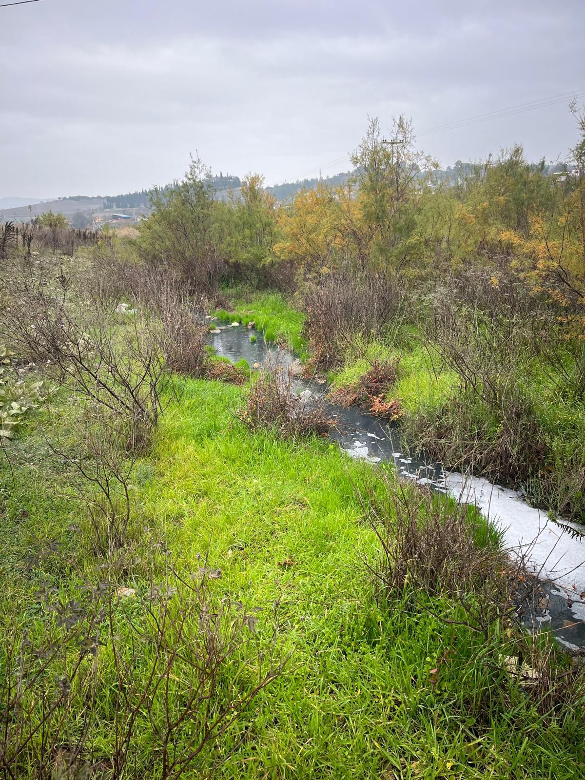 Whatsapp Image 2025 12 18 At 21.48.20