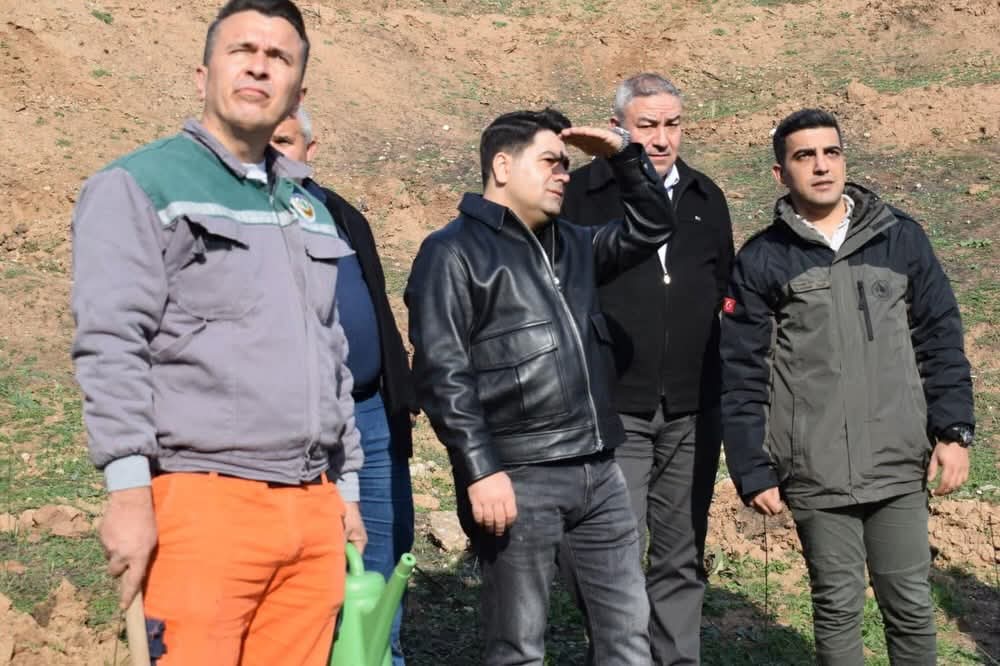 Ahmetli'de Yanan Alanlar 