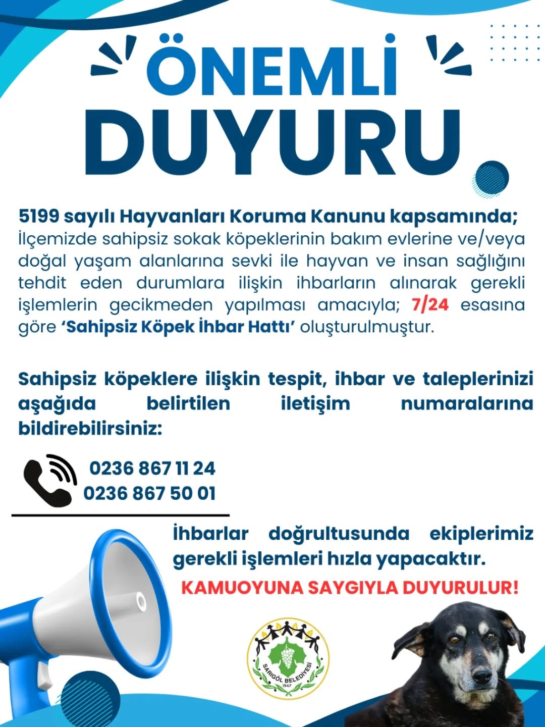 Sarıgöl'de sahipsiz köpekler için ihbar hattı kuruldu-.1.1