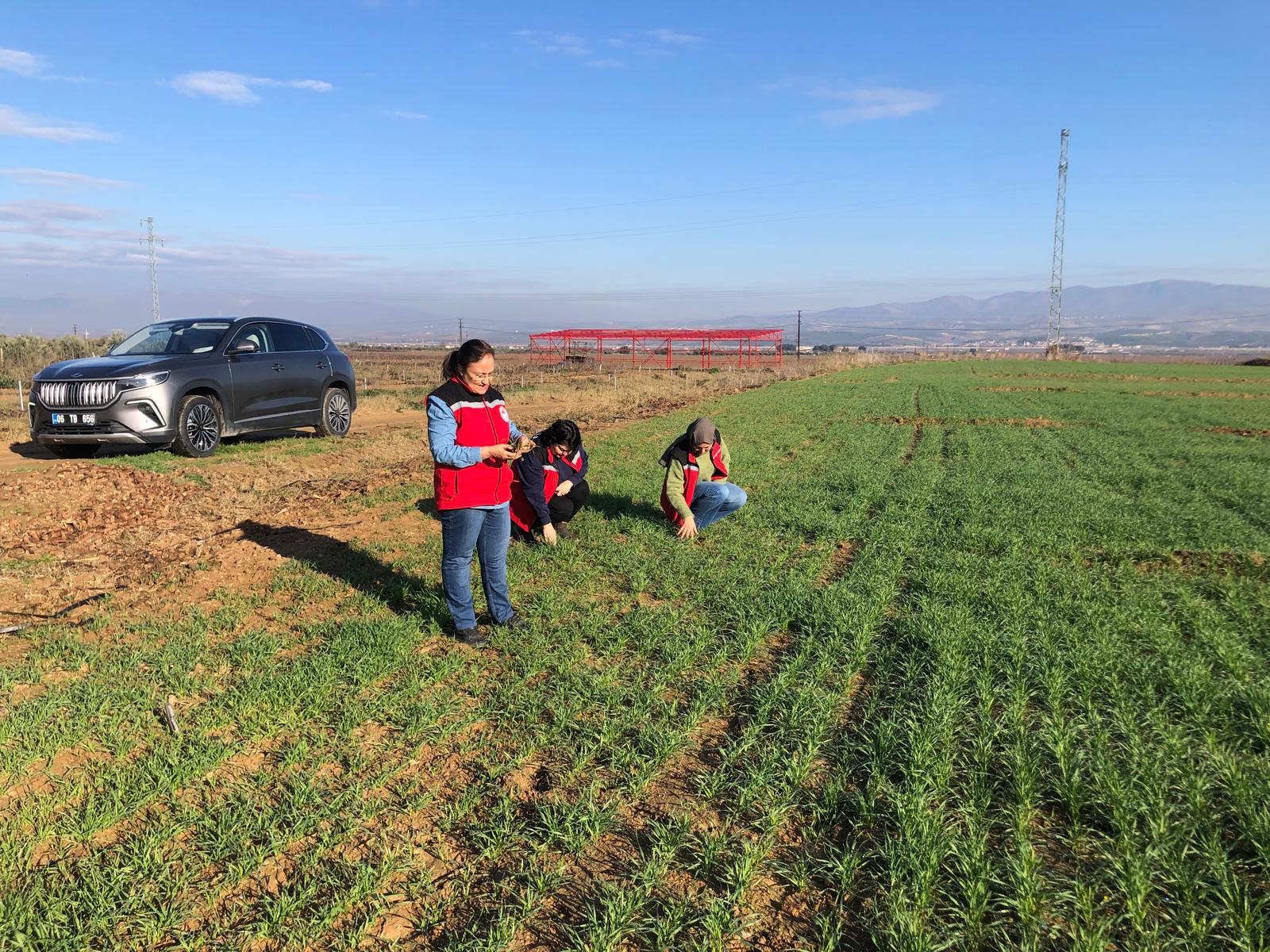 Alaşehir'de tarım sahalarında çalışmalar sürüyor-.2..1