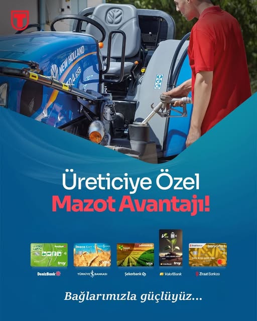 615051731 122301147260199706 3673961163506989017 N