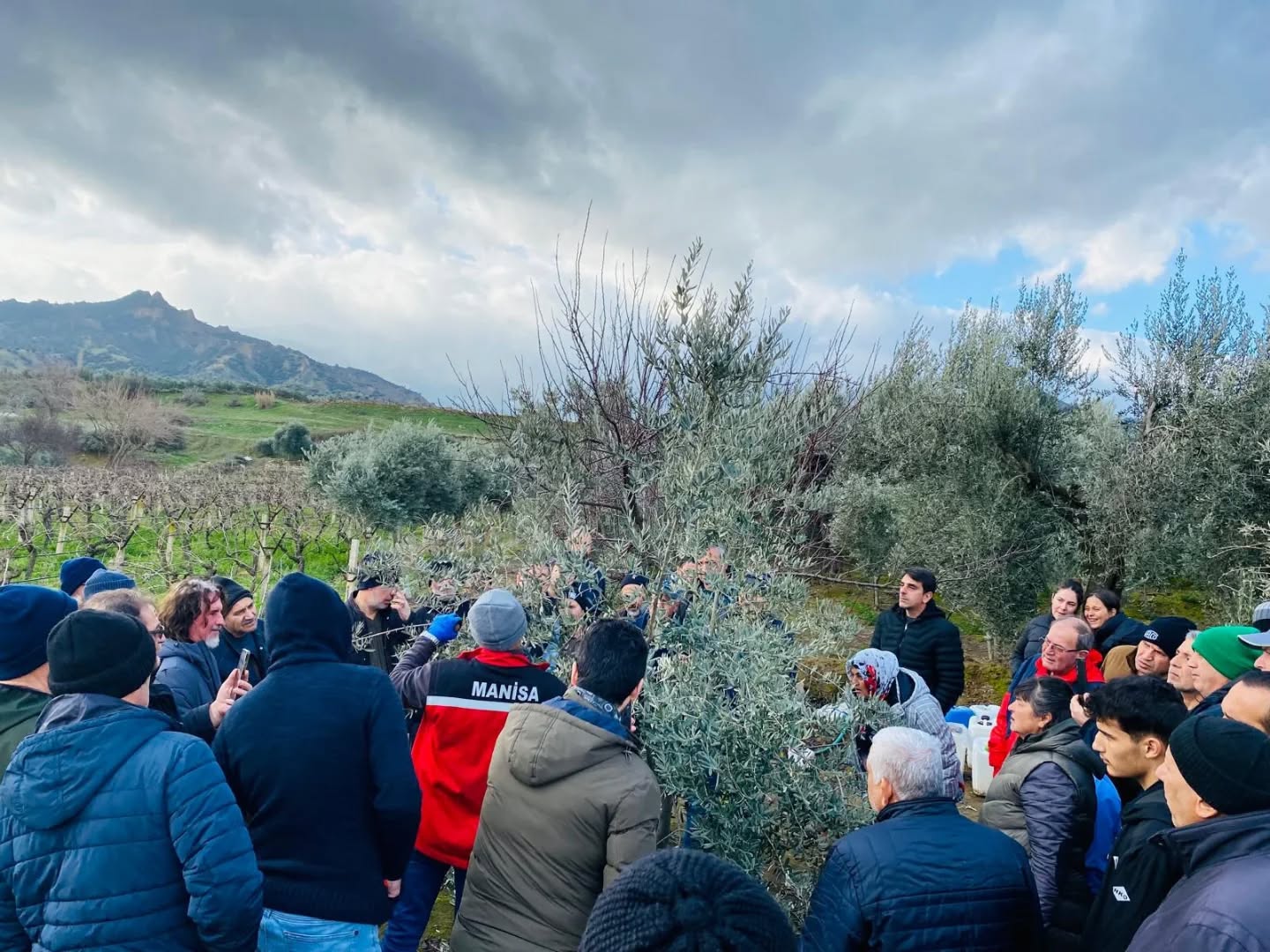 Salihli'de üreticilere 'Budama' eğitimi!-1