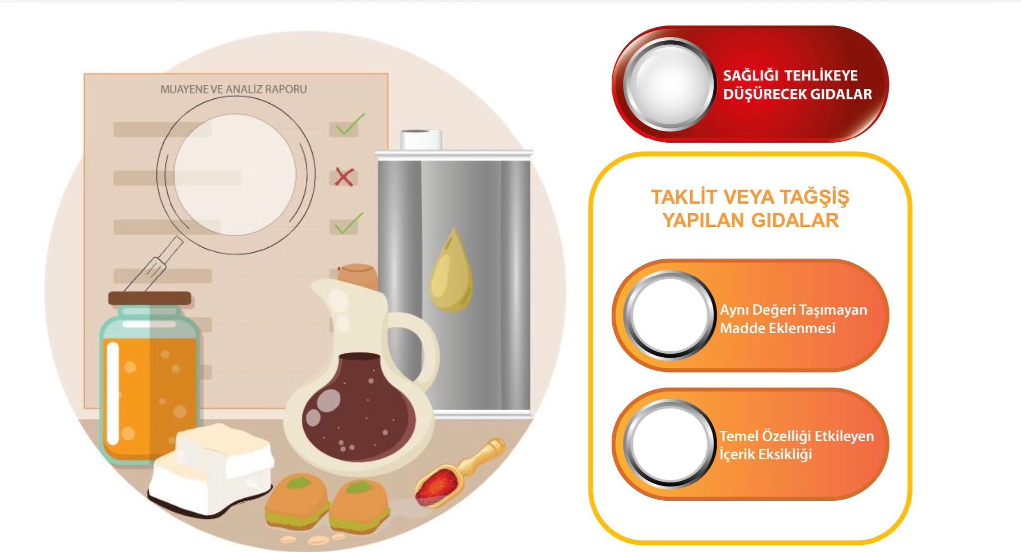 615356672 1374492244723427 803832432081281540 N