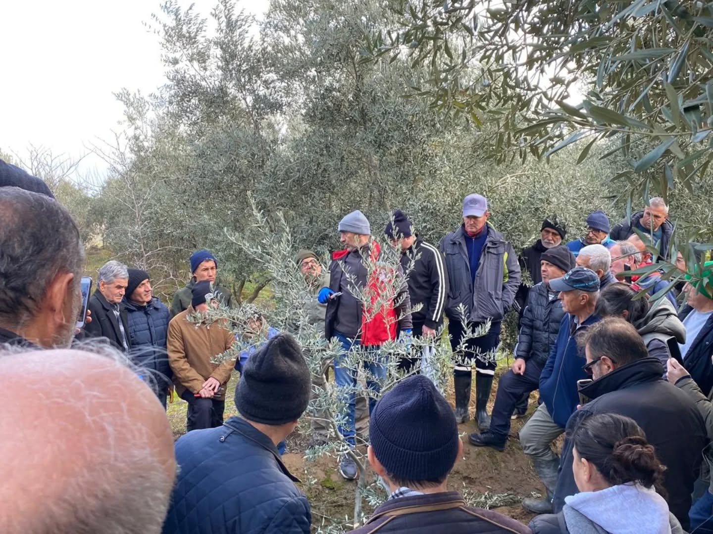 615825953 18416820553186506 7812150349467721440 N