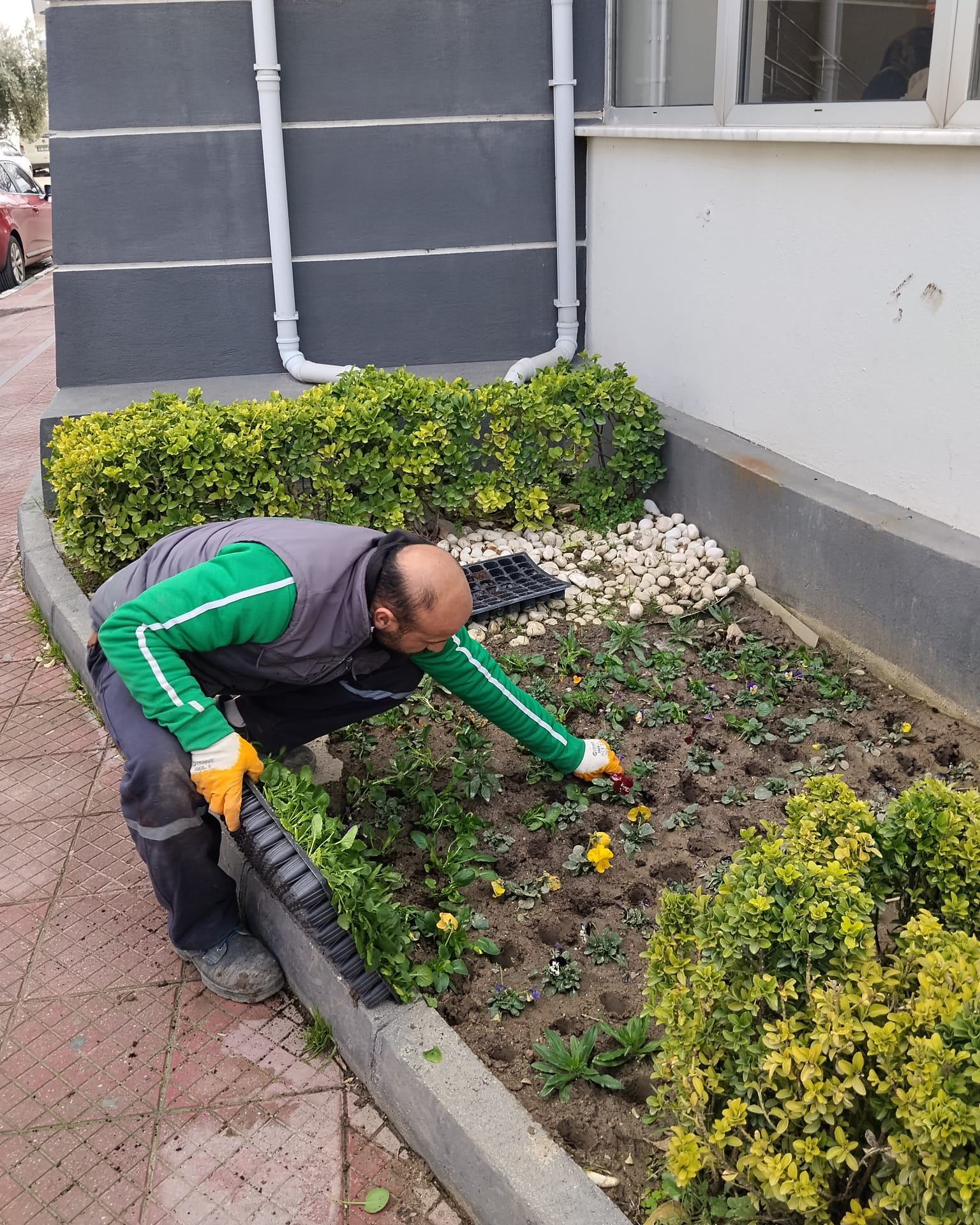 622356113 1217790710536436 2098109621683382210 N