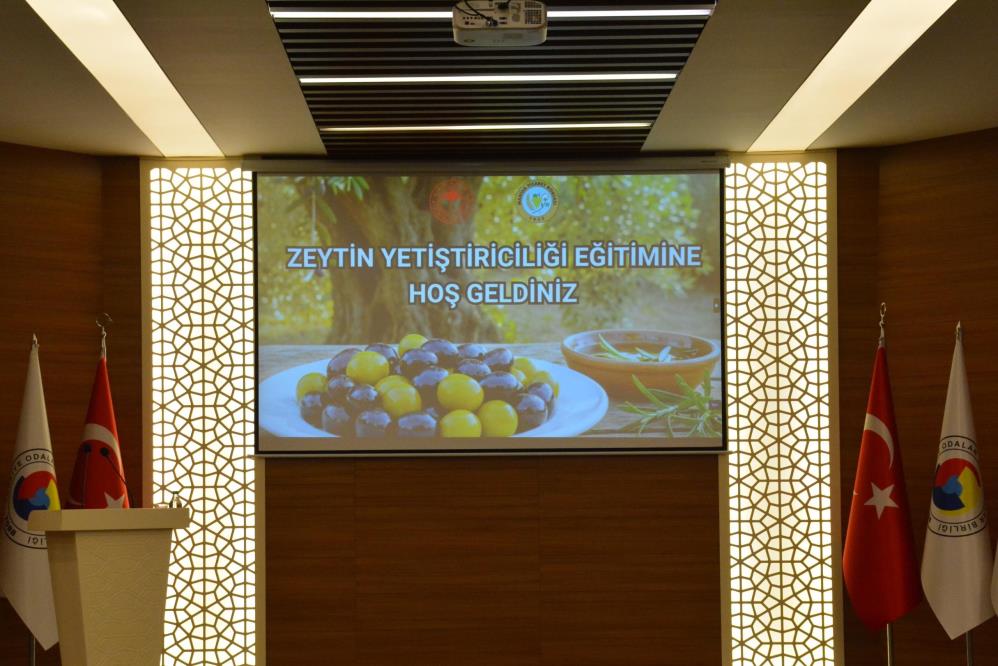 Zeytinde verimi artırmanın yolları Manisa’da anlatıldı-1