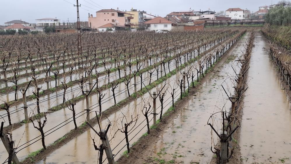 Yağmurlar bağcıların yüzünü güldürdü