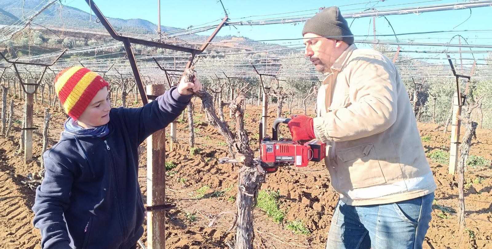 Sarıgöl'de bağcılar yenilik arıyor-.11