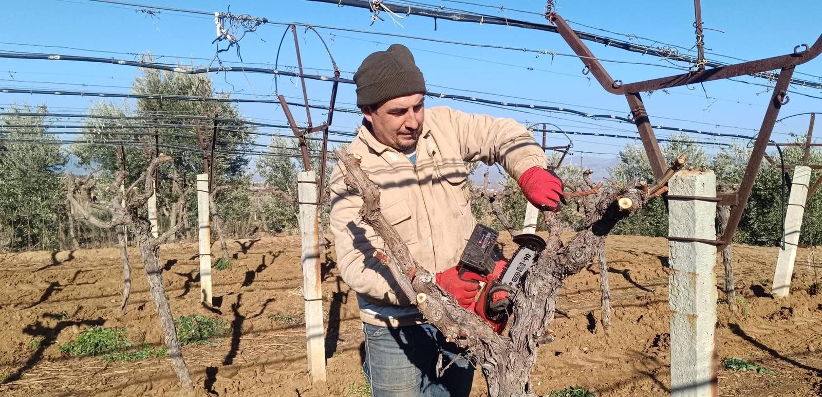 Sarıgöl'de bağcılar yenilik arıyor-.3.1