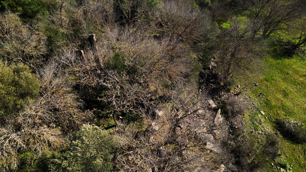 Aigai’nin saklı hazinesi!