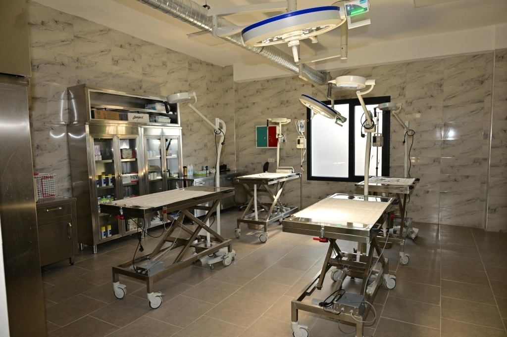 Habermedyafotograf 45474 Bade35259D2F4Dc4Aced2591D673760A