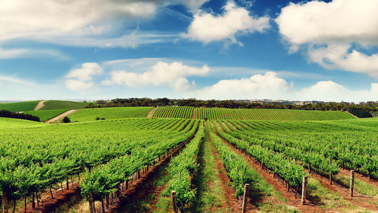 Murat Baybatur Duyurdu Manisa’ya 810 Milyonluk Dev Yatırım! (2)