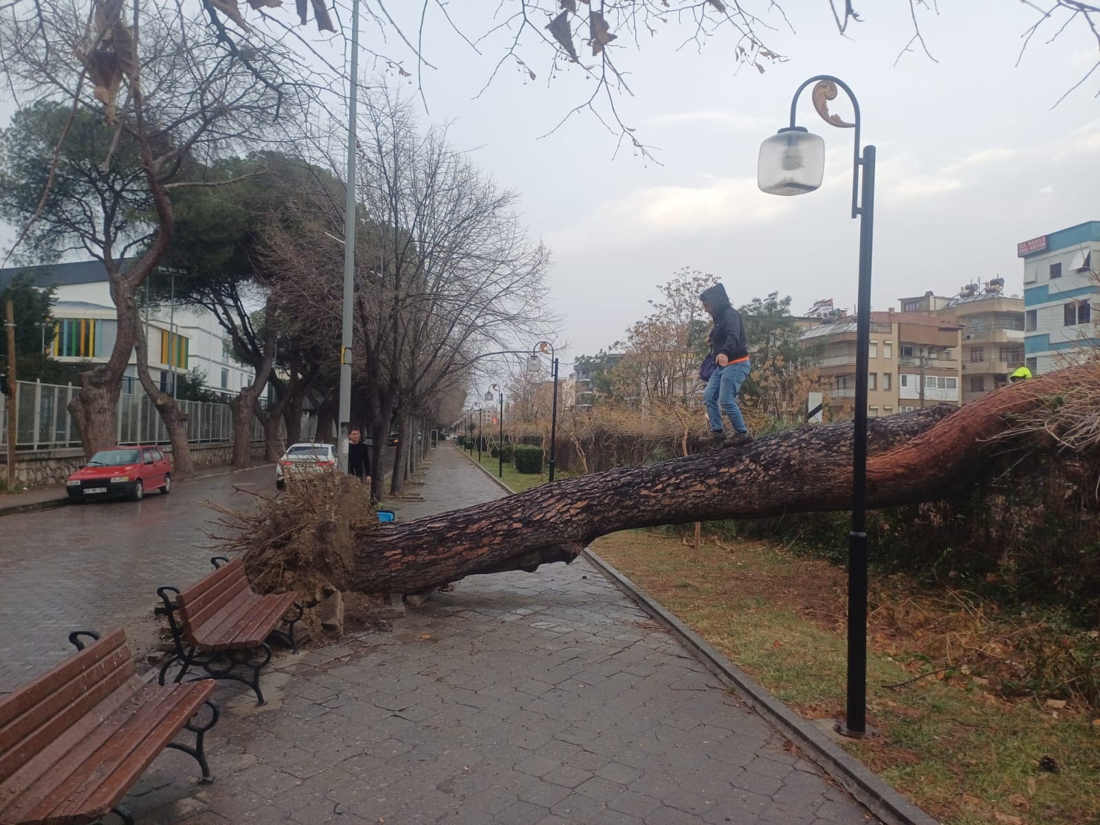 Salihli Fırtına (4)