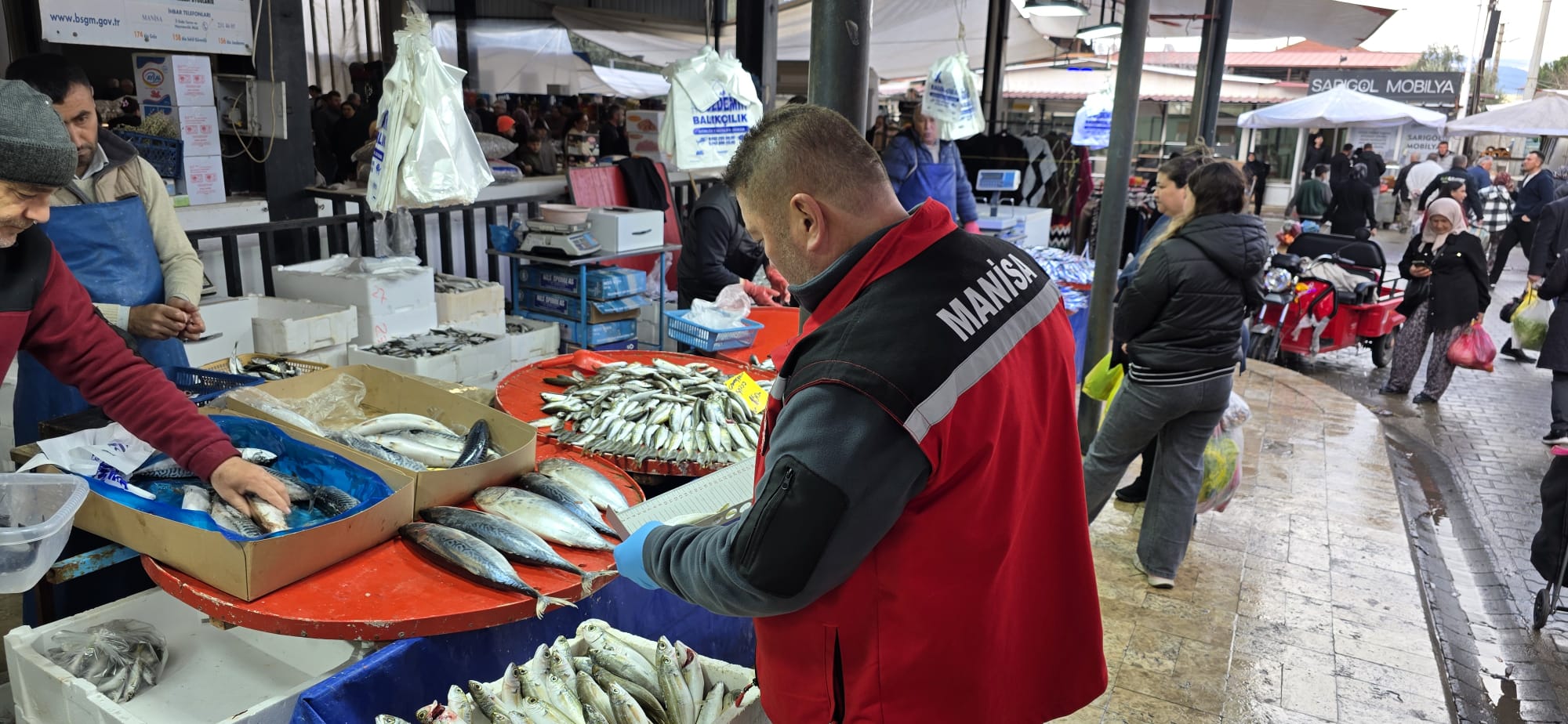 Sarıgöl Balık (1)