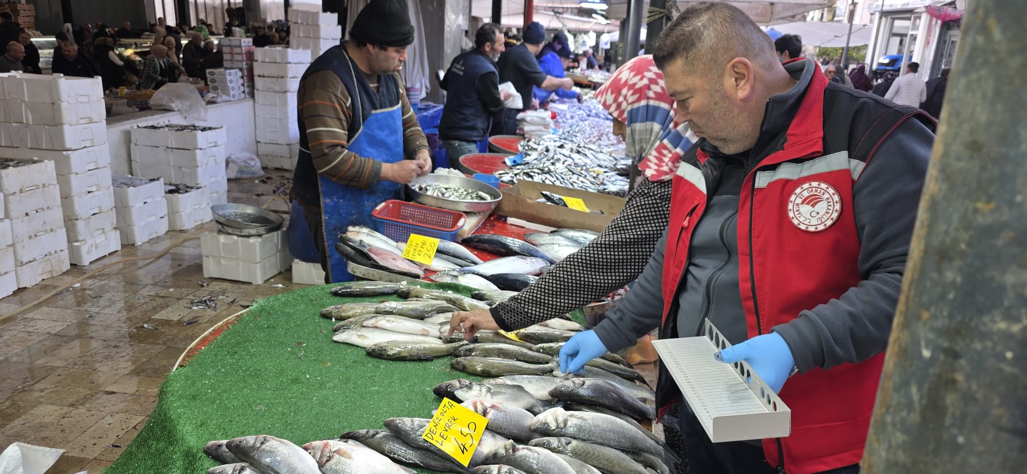Sarıgöl Balık (2)