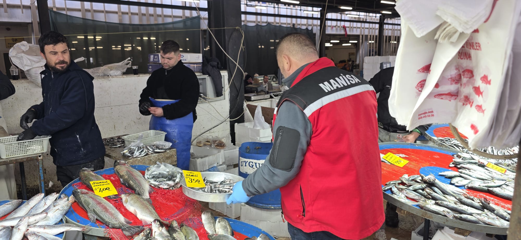 Sarıgöl Balık (3)