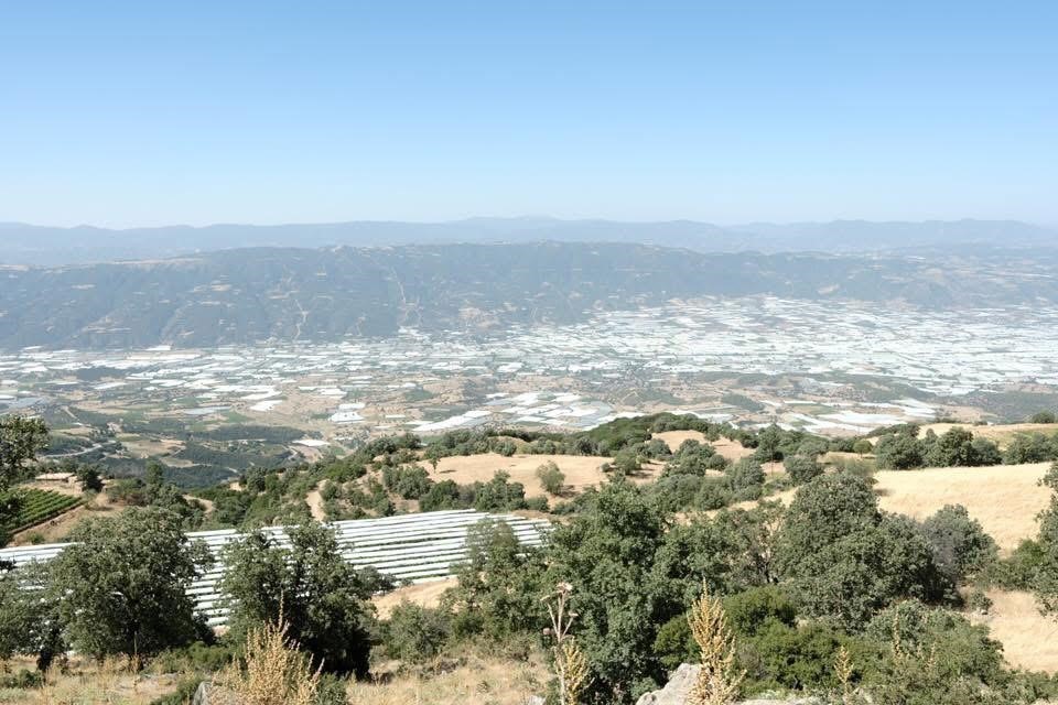 Sarıgöl Ovası (3)