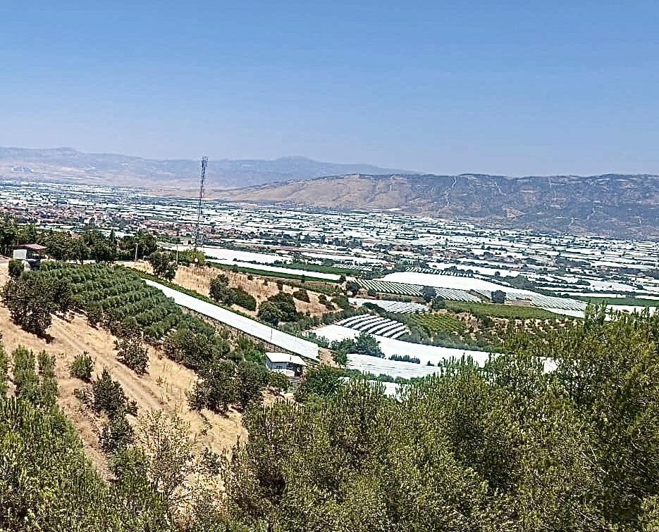 Sarıgöl Ovası (4)