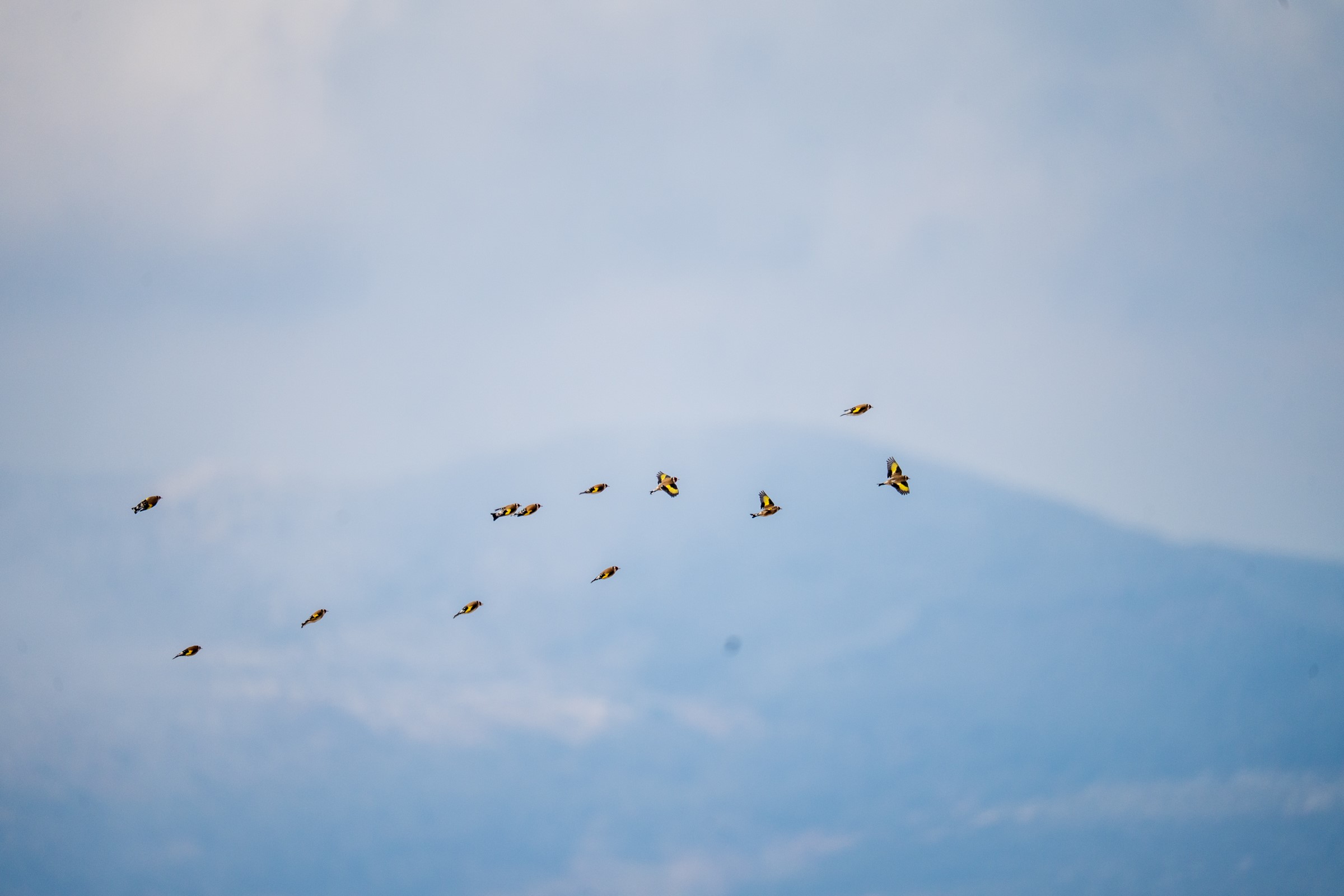 Spil Dağı Milli Parkı (1)-1