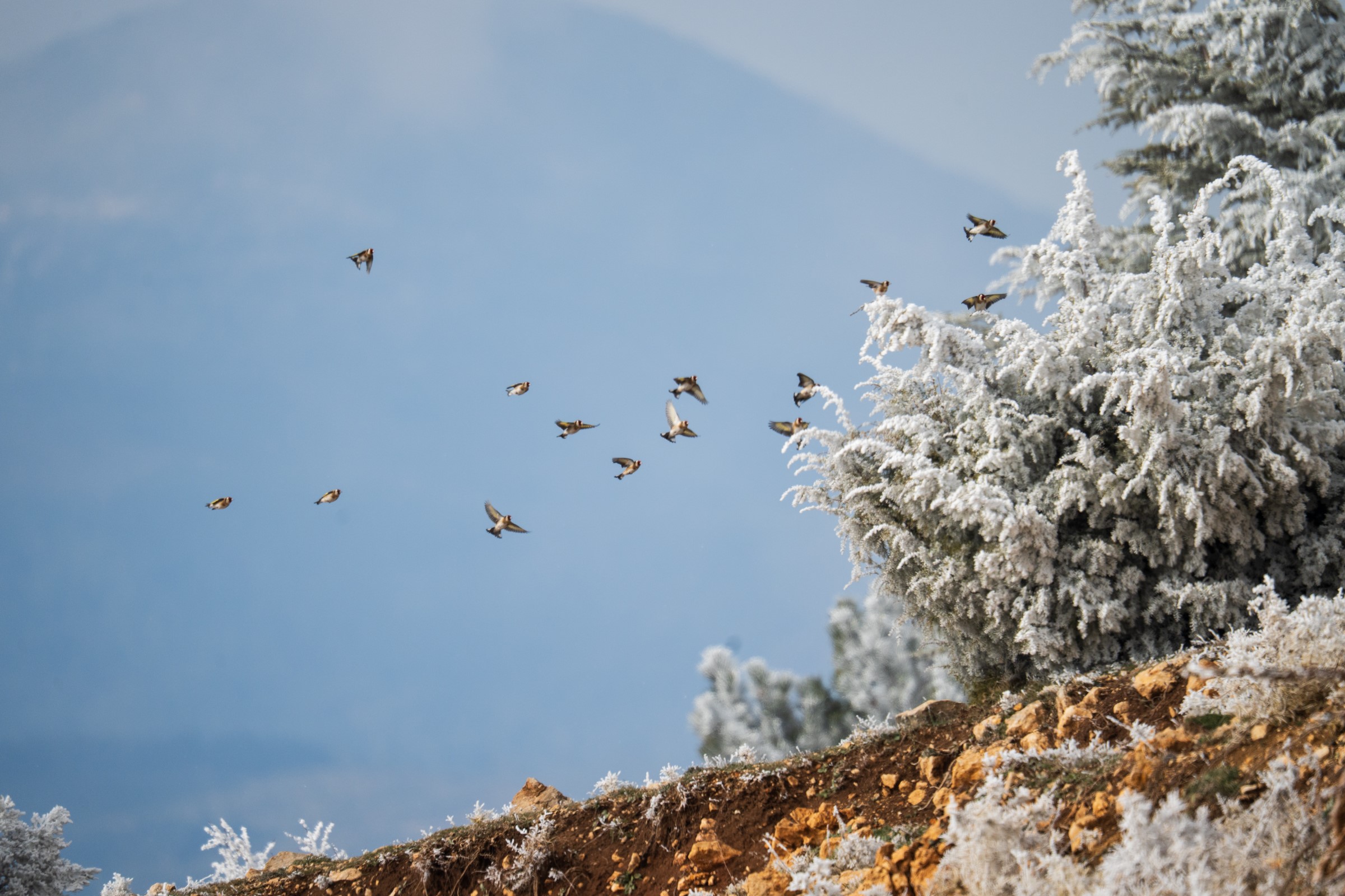 Spil Dağı Milli Parkı (5)