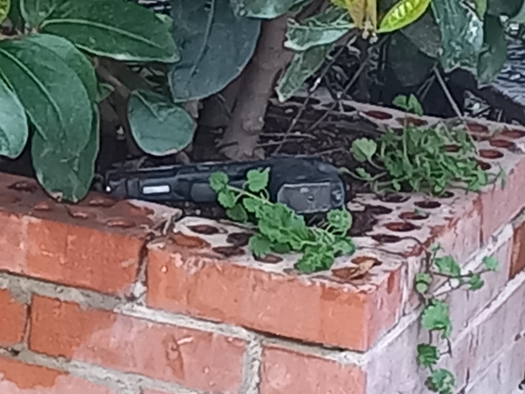 Whatsapp Image 2026 01 28 At 19.25.59