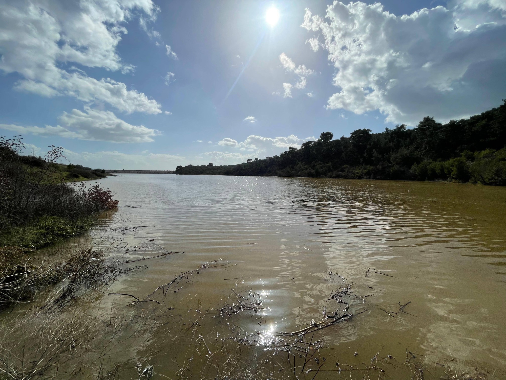 626725341 1225230566459117 3096477013342308357 N