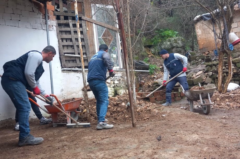 629295714 18387199441154414 2858469675335073437 N