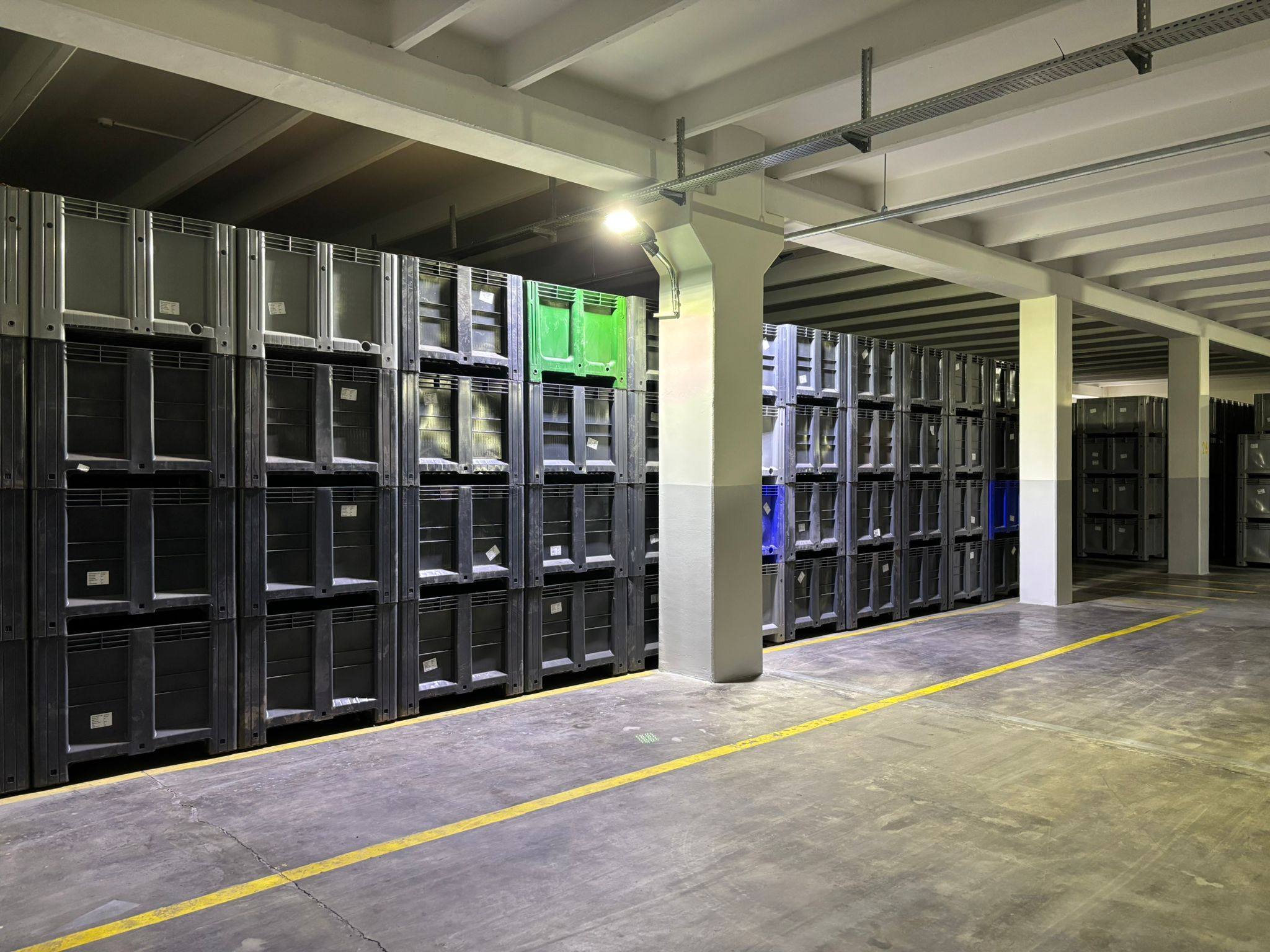 630127557 122306229194199706 8649826476148244331 N