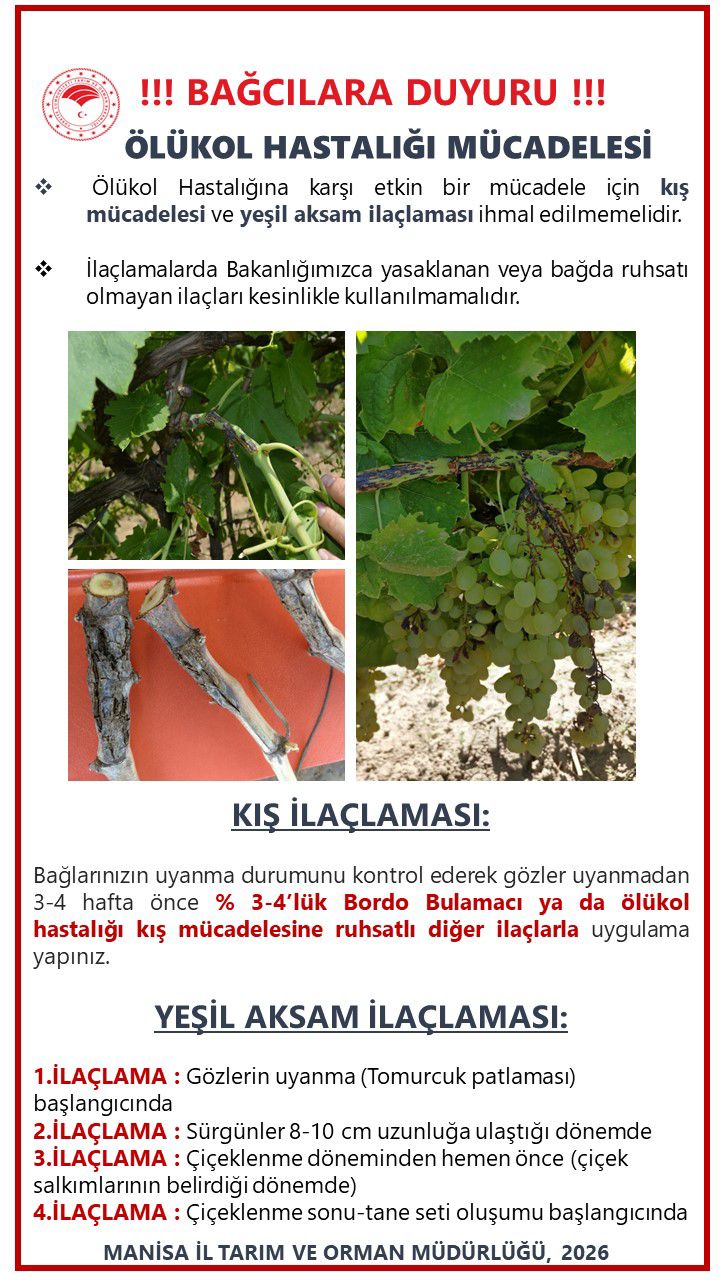 639171440 1405388108300507 905843769660289188 N