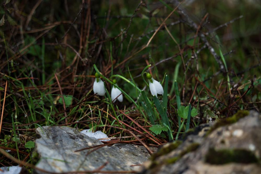 Spil Dağı'nda yeni bir şelale oluştu!