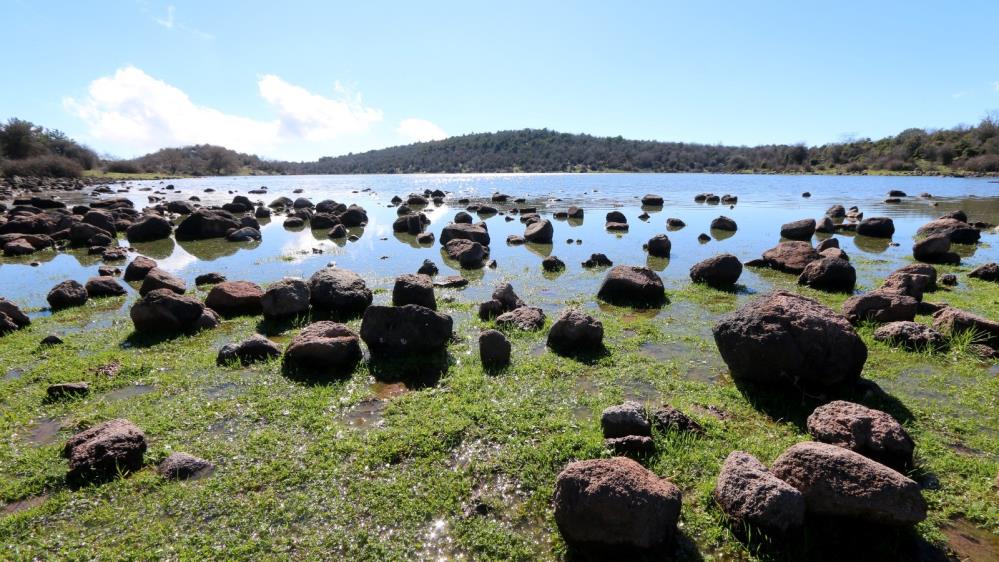 Geçen yıl tamamen kurumuştu: Tepegöl yeniden hayat buldu!