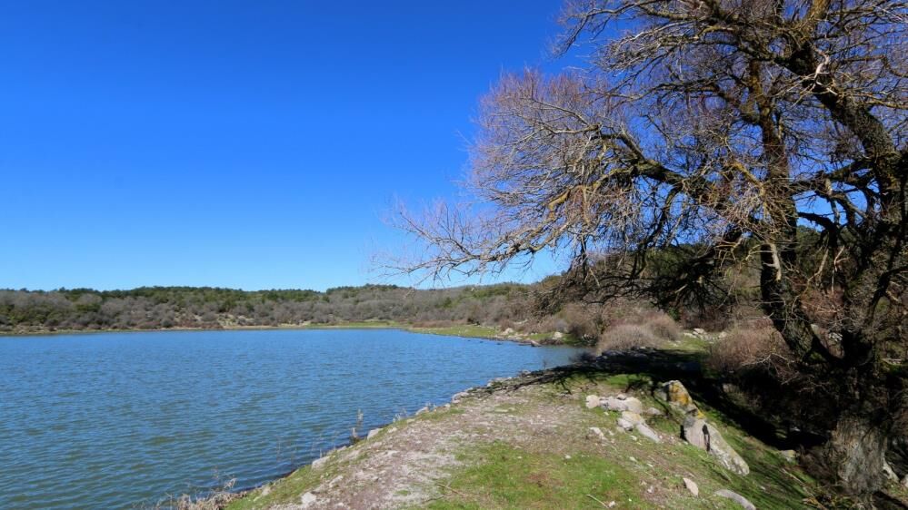 Geçen yıl tamamen kurumuştu: Tepegöl yeniden hayat buldu!