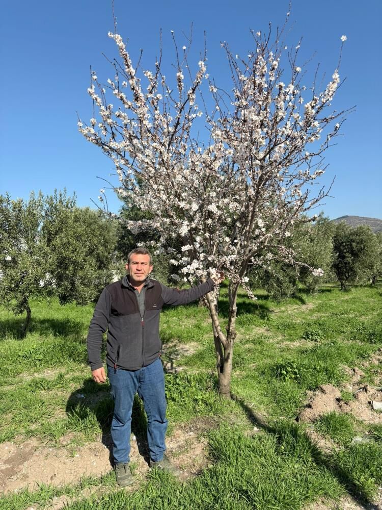 Manisa'da 'Yalancı Bahar' üreticiyi korkuttu!