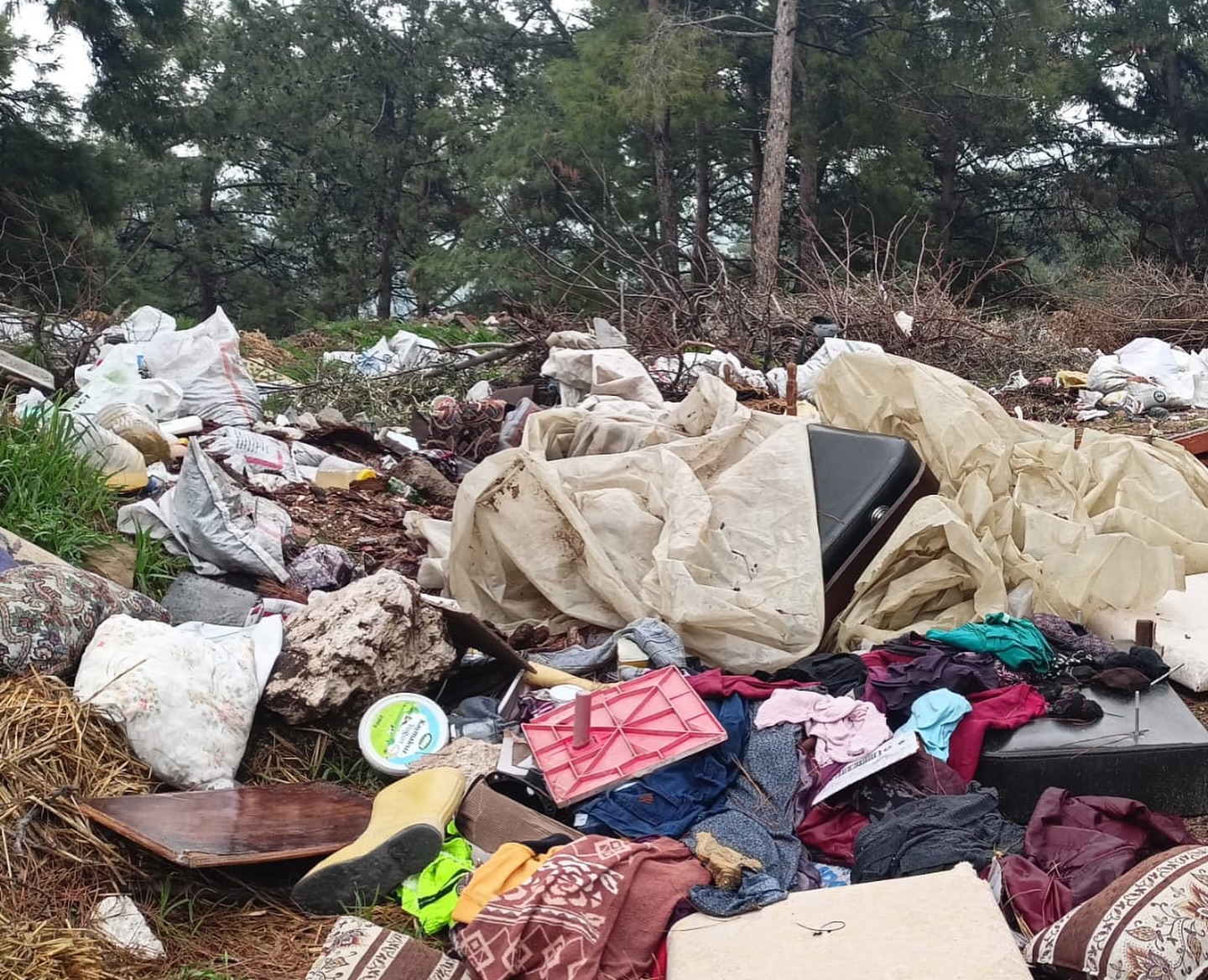 Başkan Okur’dan Ormanlara Dökülen Çöp Ve Molozlara Sert Tepki! (2)