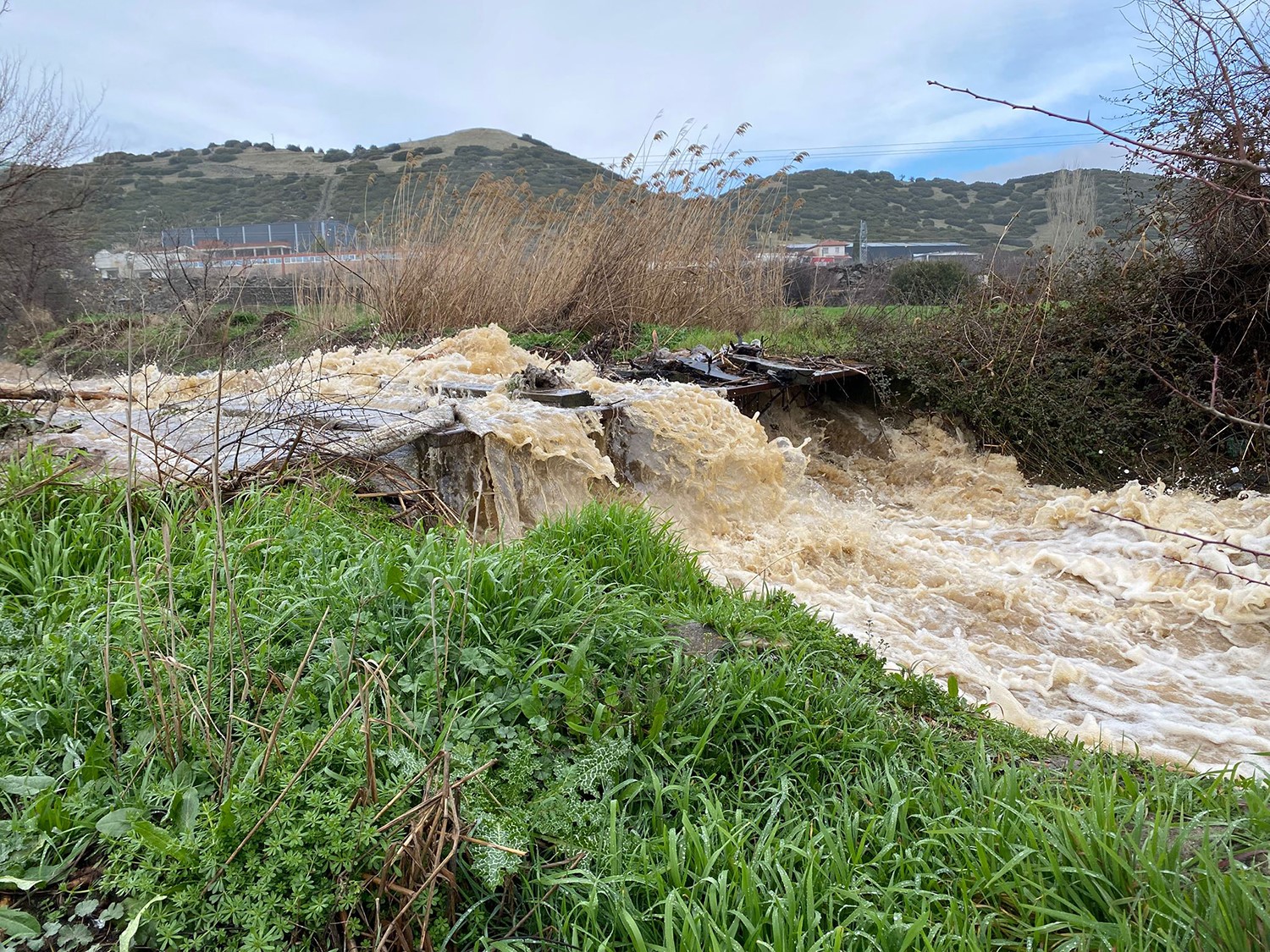 Hem Vatandaşlar Hem De Hayvanlar Zor Anlar Yaşadı. (2)