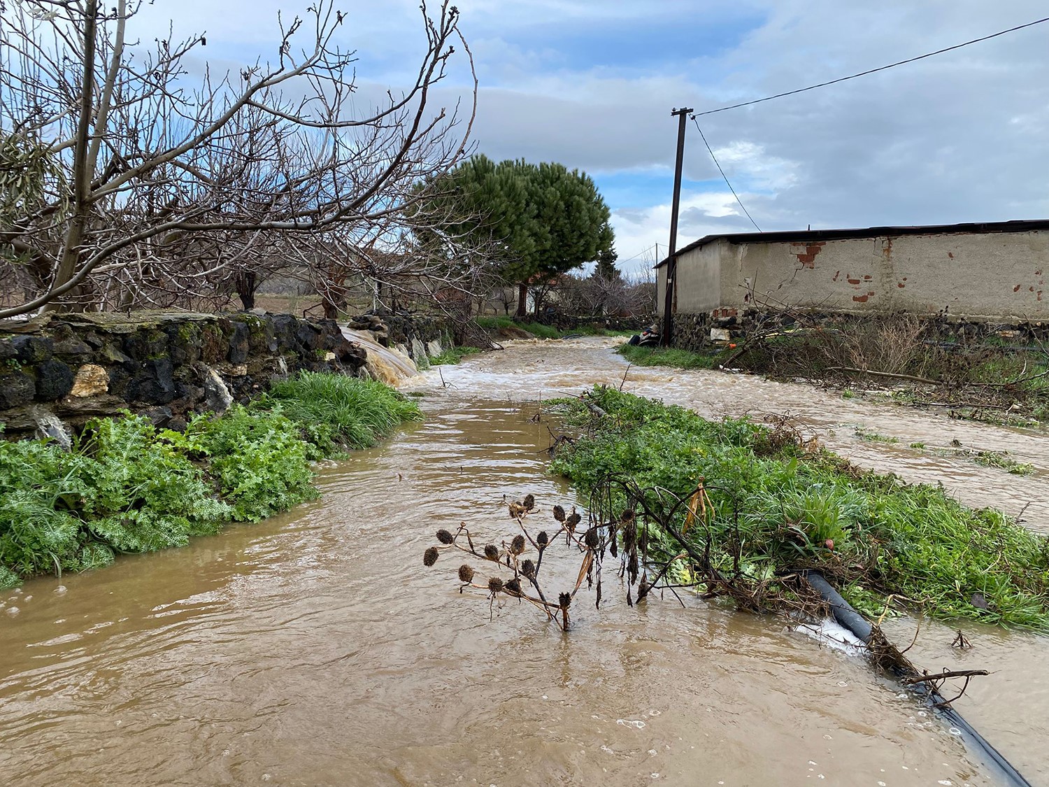 Hem Vatandaşlar Hem De Hayvanlar Zor Anlar Yaşadı. (3)