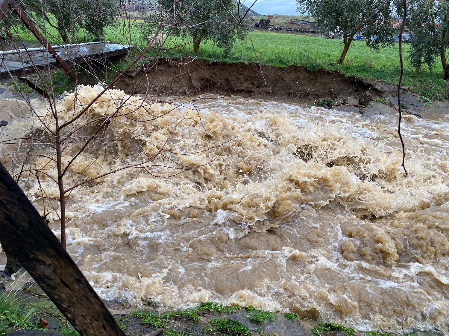 Hem Vatandaşlar Hem De Hayvanlar Zor Anlar Yaşadı. (4)