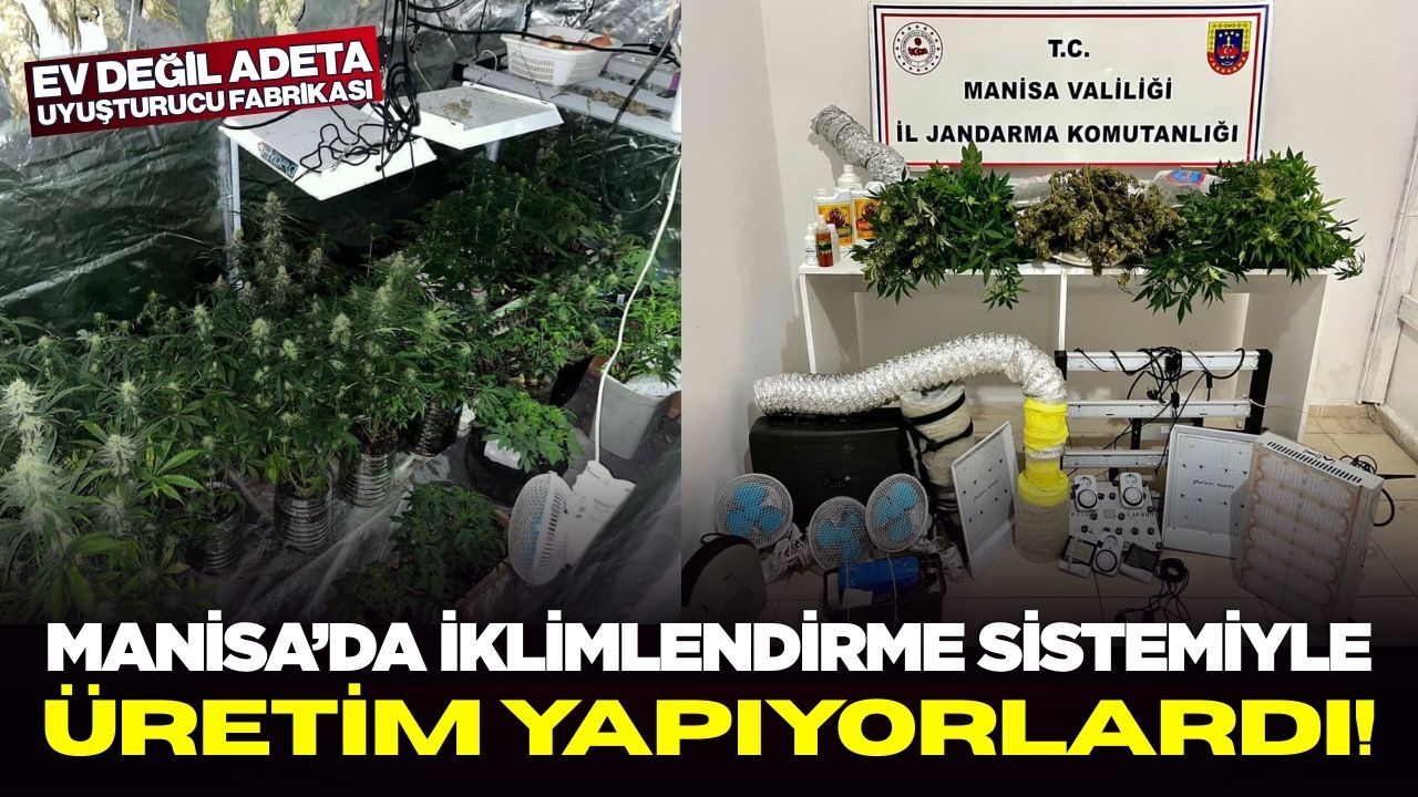 Manisa’da Uyuşturucu Serasına Darbe: İklimlendirme Sistemiyle Üretim Yapıyorlardı!
