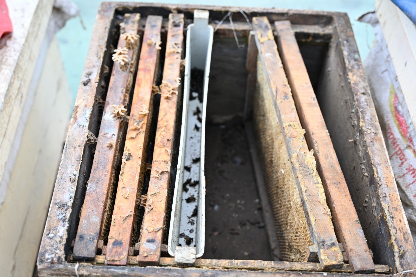 Manisa Büyükşehir Belediyesi, Sel Felaketinden Etkilenen Üreticilere Yönelik Desteklerini Aralıksız (4)