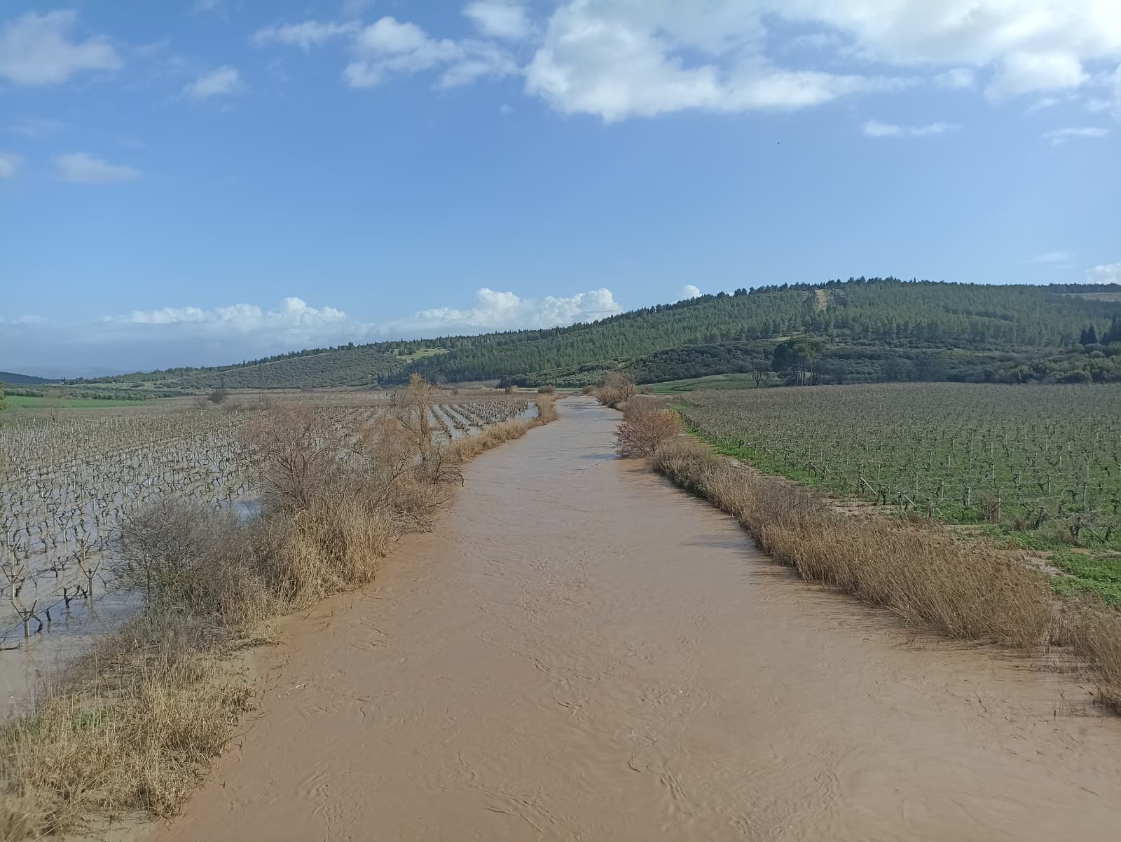 ​Manisa'da Sağanak Sonrası Dere Taştı Tarım Arazileri Sular Altında Kaldı (1)