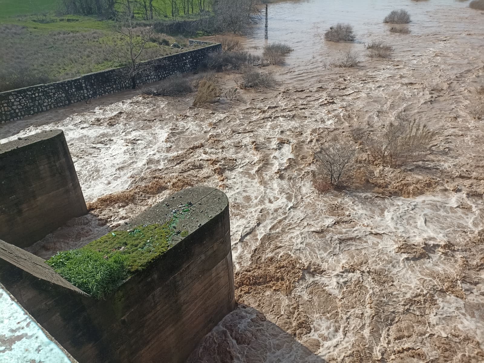 ​Manisa'da Sağanak Sonrası Dere Taştı Tarım Arazileri Sular Altında Kaldı (3)