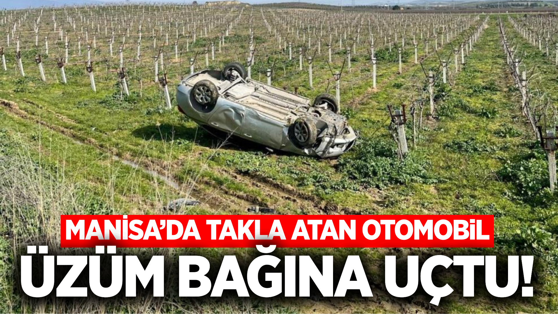 Manisa'da kontrolden çıkan otomobil üzüm bağına uçtu: 1 yaralı