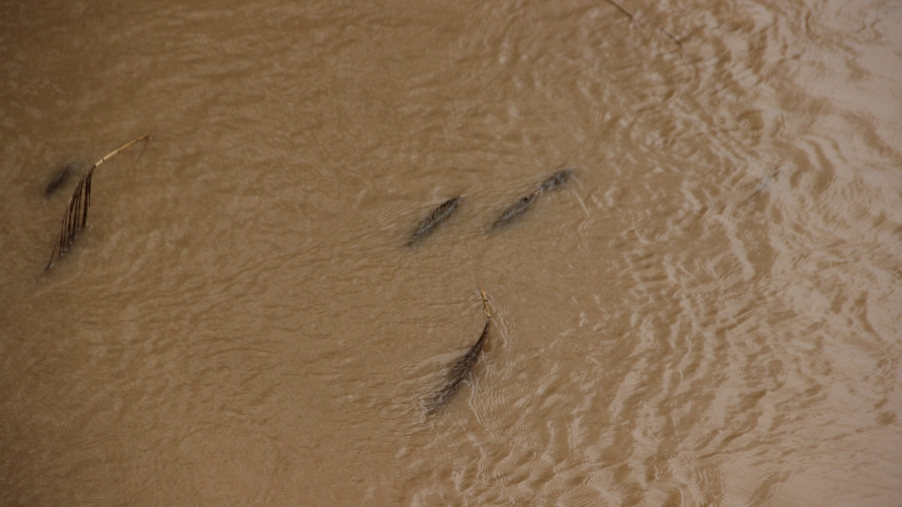 Sarıgöl'de Etkili Olan Yağışlar Barajları Dolduruyor 1.