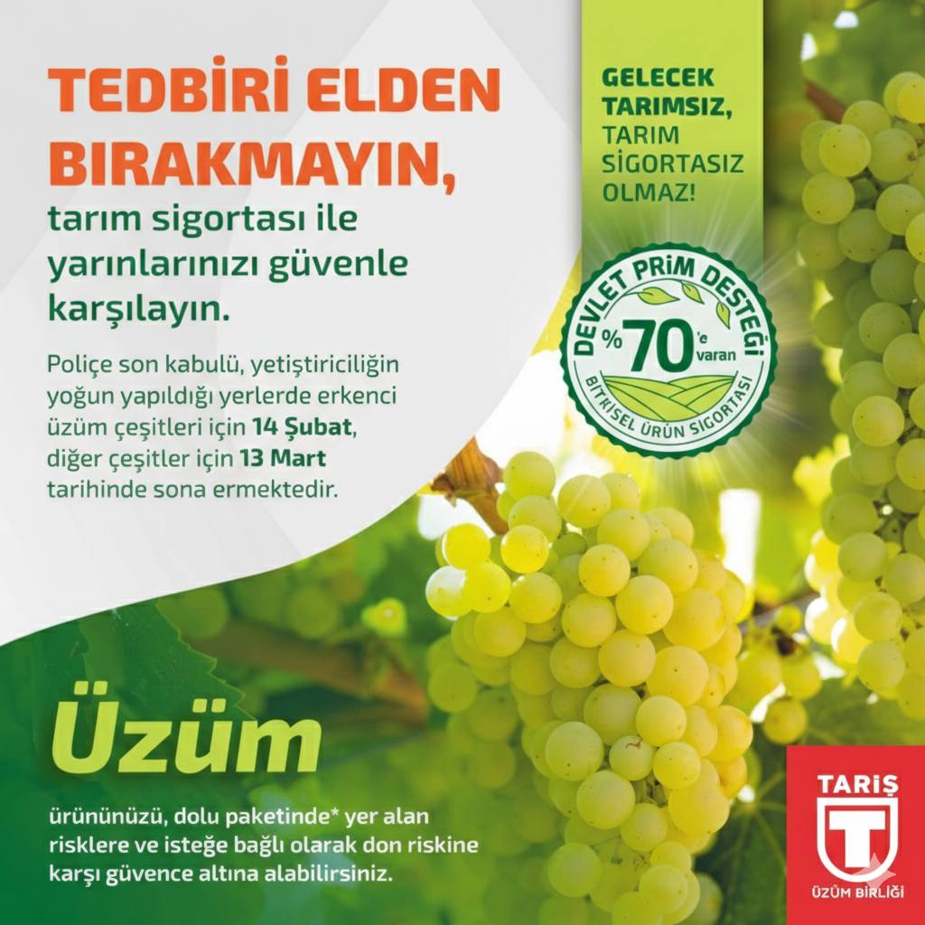 Tari̇ş Üzüm Birliği’nden Üreticiye Faizsiz Sigorta Desteği (1)