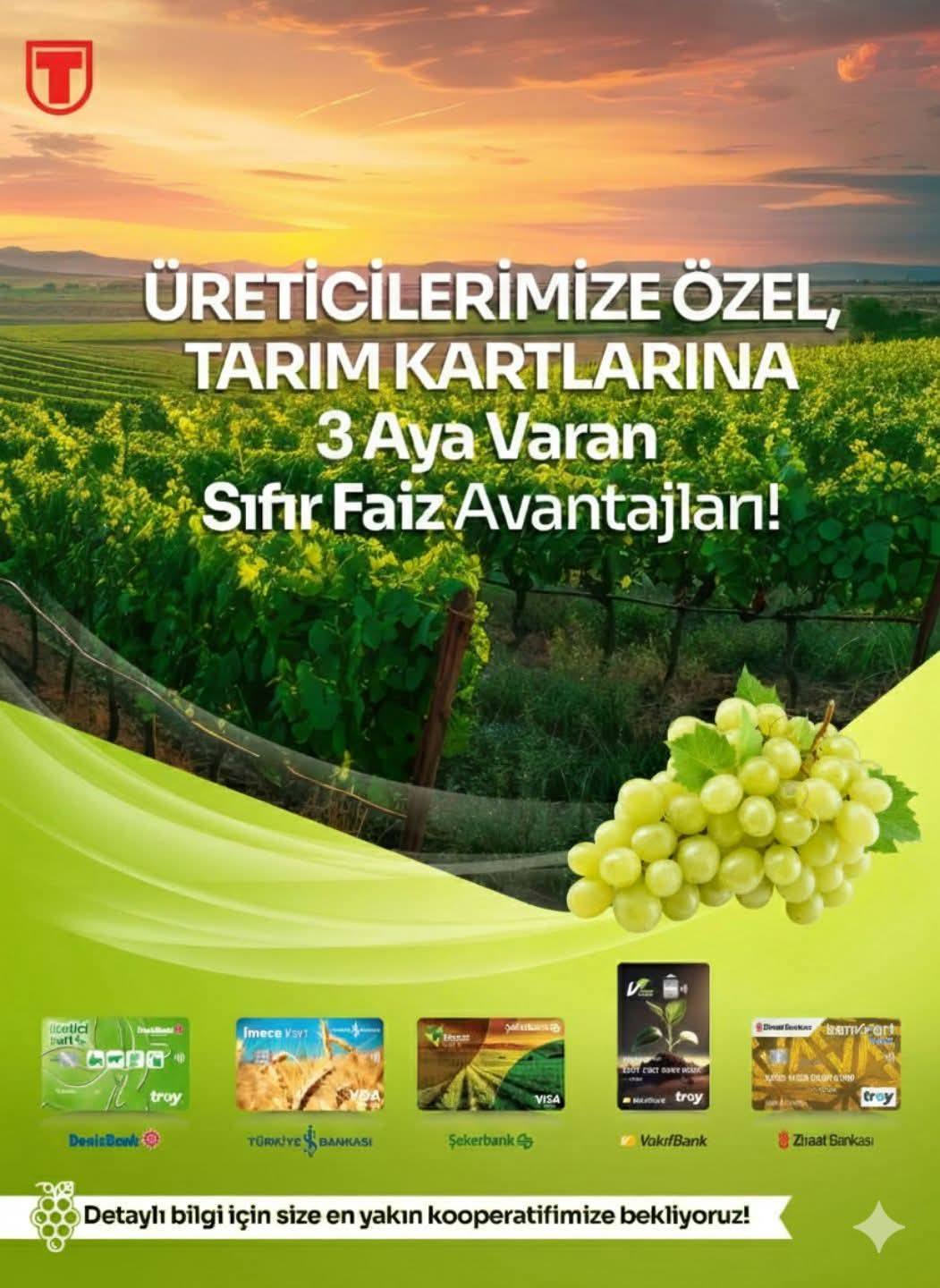 Tari̇ş Üzüm Birliği’nden Üreticiye Faizsiz Sigorta Desteği (2)