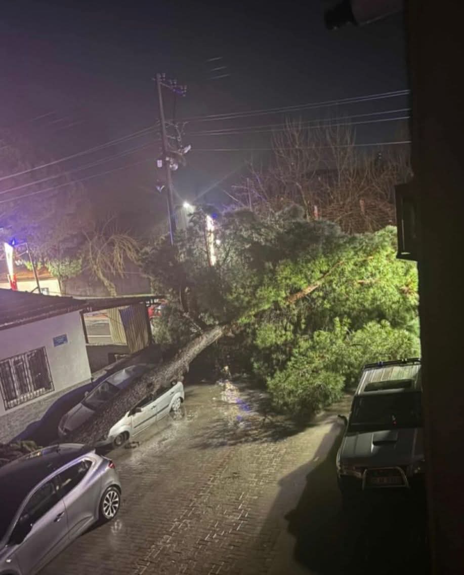 Whatsapp Image 2026 02 07 At 00.49.25 (1)