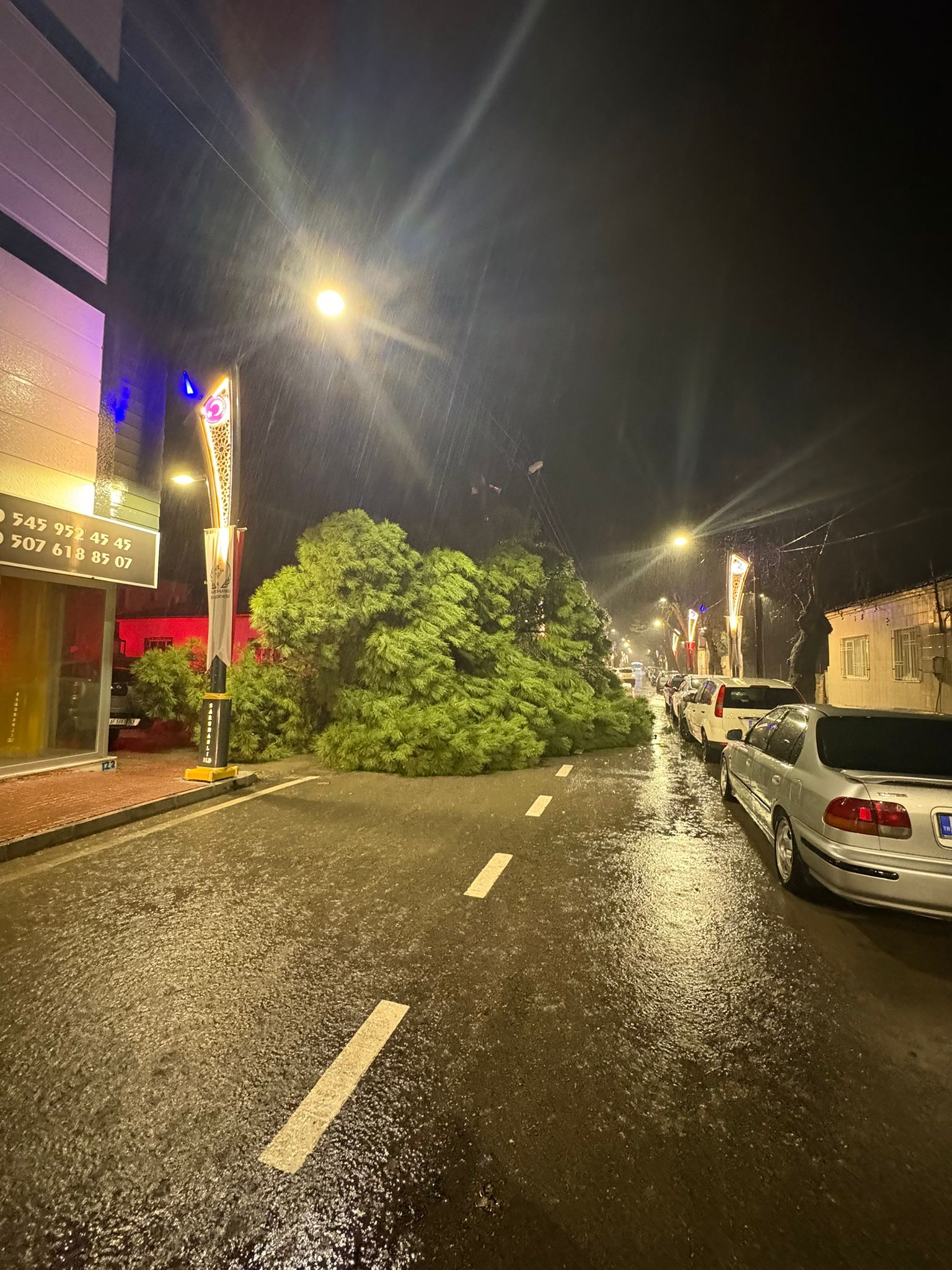 Whatsapp Image 2026 02 07 At 01.06.56 (1)