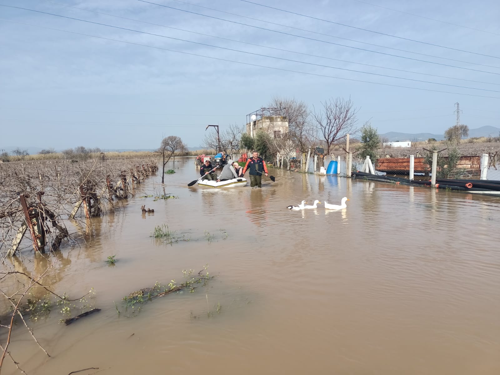 Whatsapp Image 2026 02 15 At 12.05.44