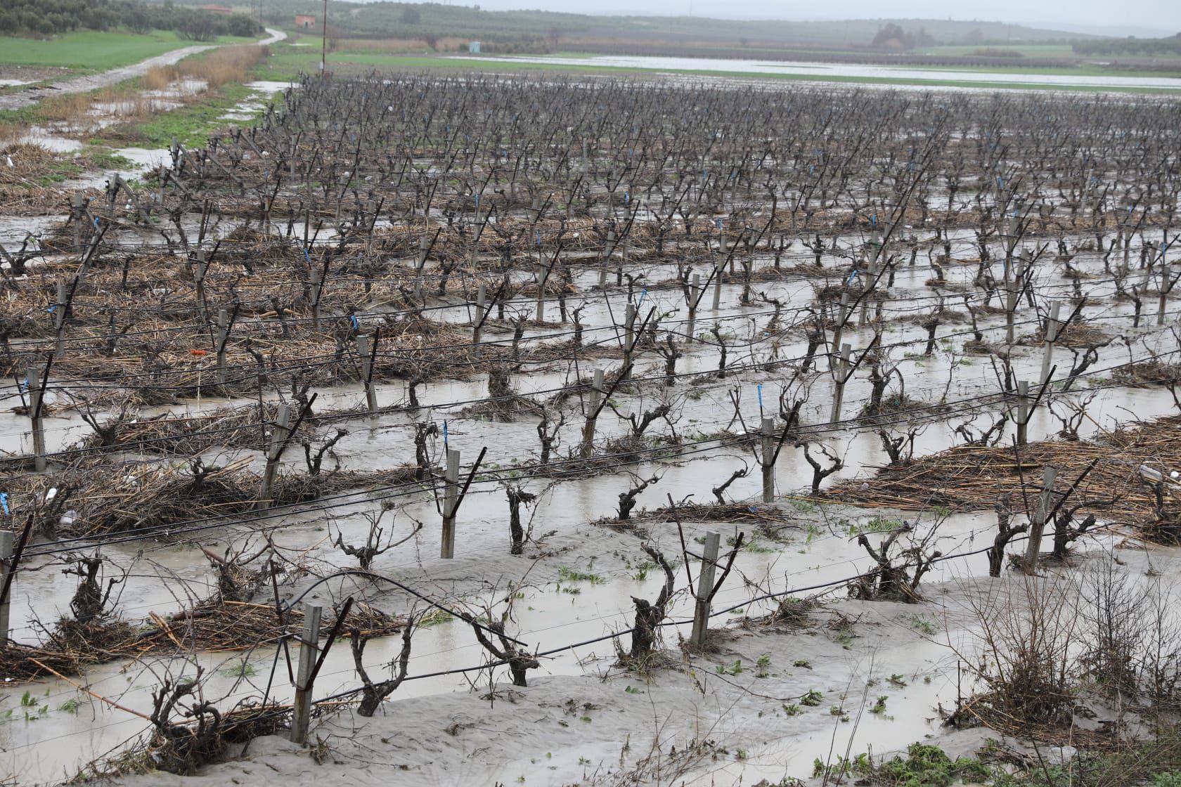 Whatsapp Image 2026 02 15 At 18.05.35