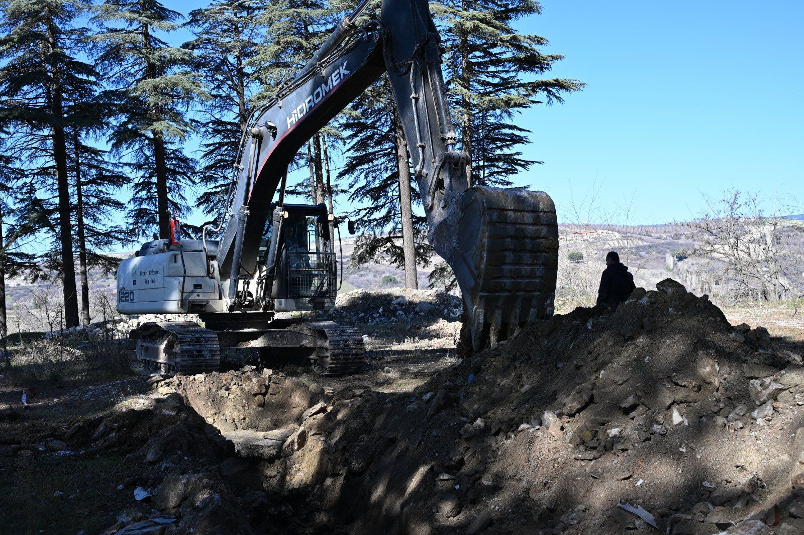 645417801 10163573346129351 2795592845672184072 N